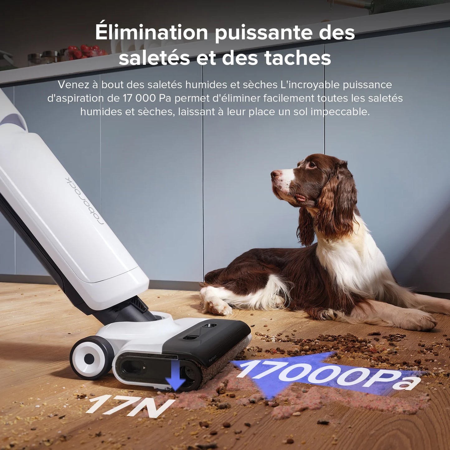 Aspirateur laveur Roborock Flexi Lite