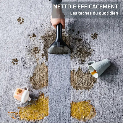 Rowenta Clean It Nettoyeur de tapis et tissu - 4 accessoires